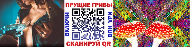 наркотики  Горно-Алтайск  Псилоцибиновые грибы Magic Shrooms 